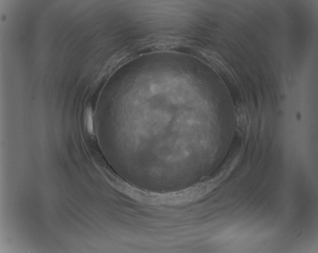 X0000071760046200606301141