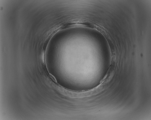 X0000071760047200606301141