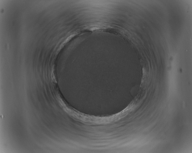 X0000071760048200606301141