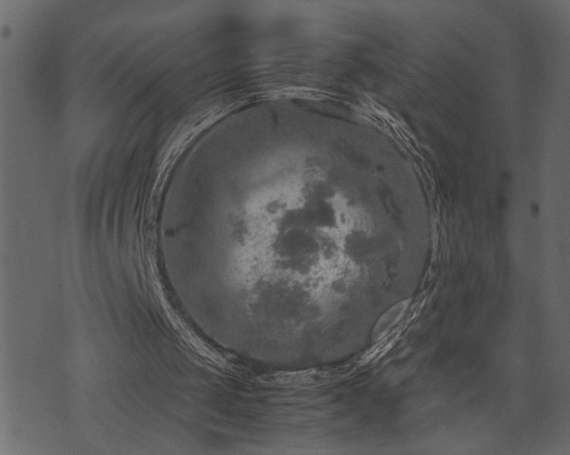 X0000071760049200606301140