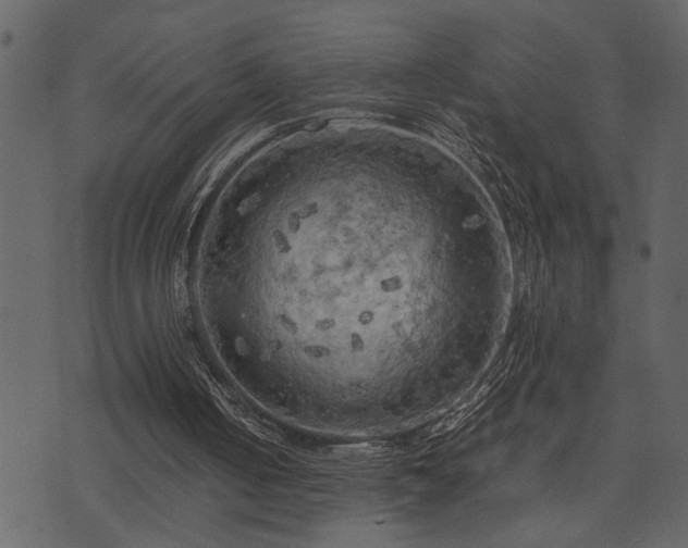 X0000071760050200606301140