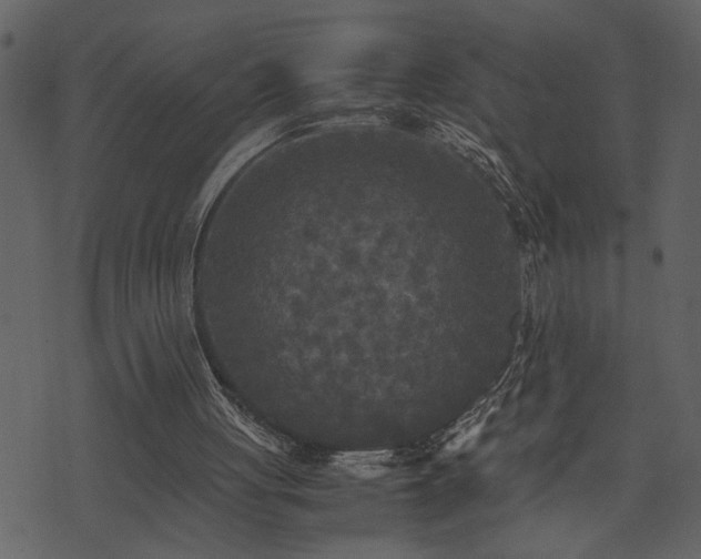 X0000071760051200606301140