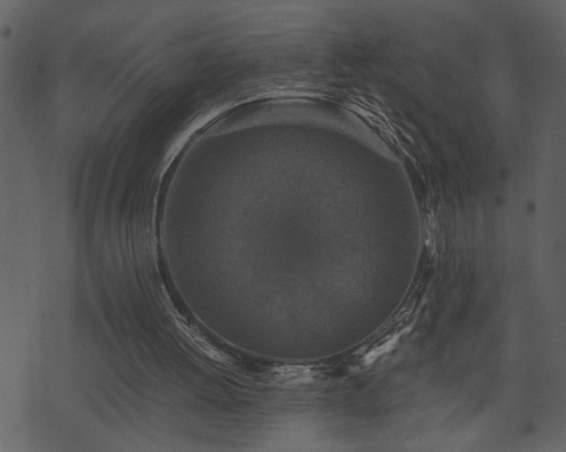 X0000071760052200606301140