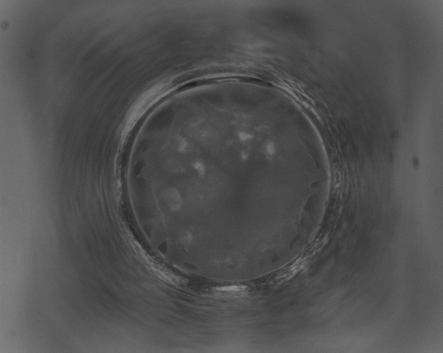 X0000071760053200606301140