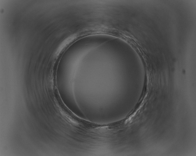 X0000071760054200606301140