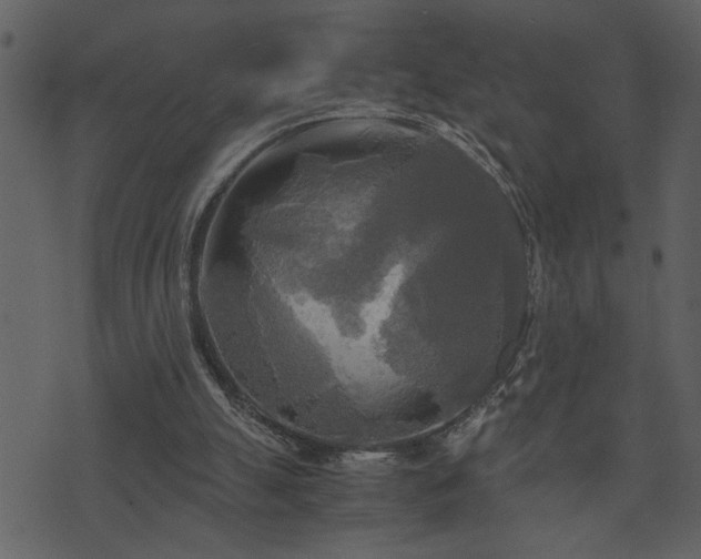 X0000071760055200606301140