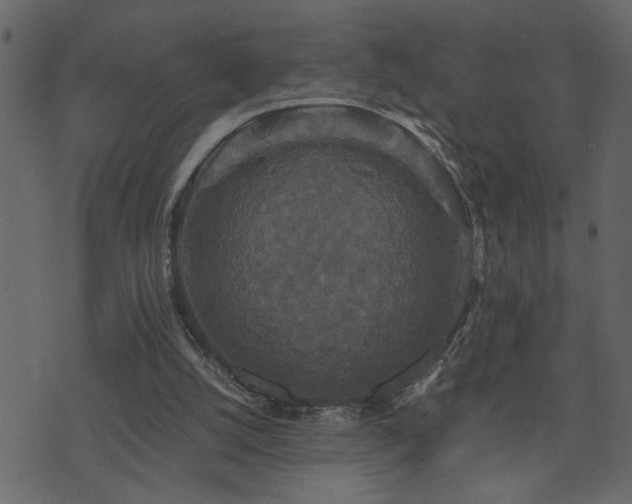 X0000071760056200606301140