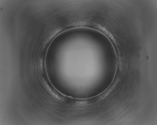 X0000071760057200606301140