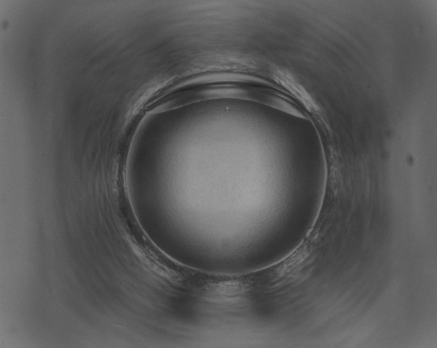 X0000071760058200606301140