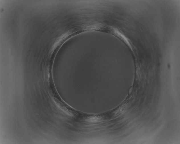 X0000071760059200606301140