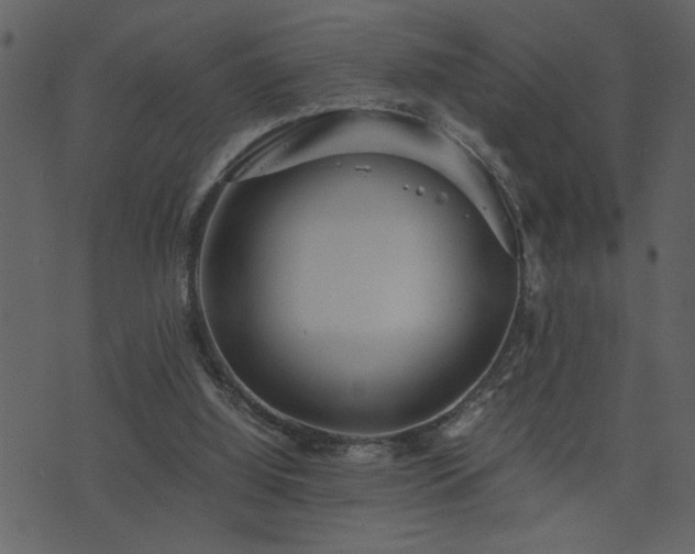 X0000071760060200606301140