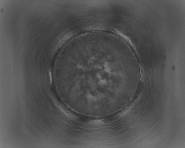 X0000071760061200606301140