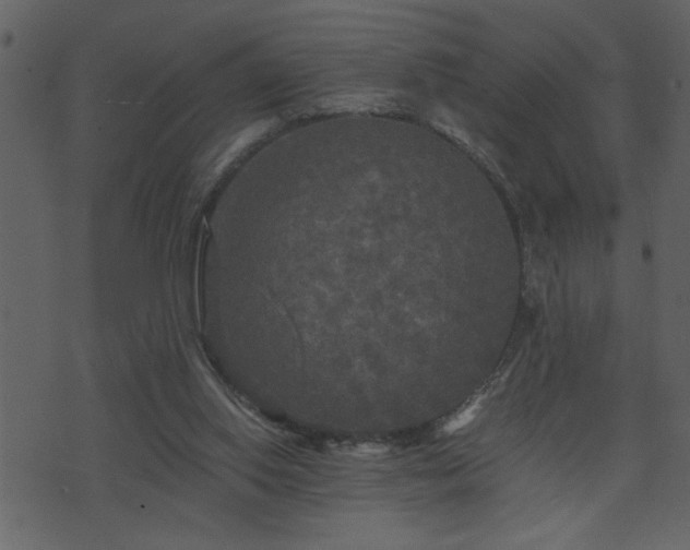 X0000071760062200606301140