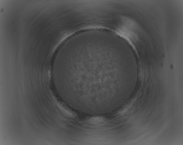 X0000071760063200606301140