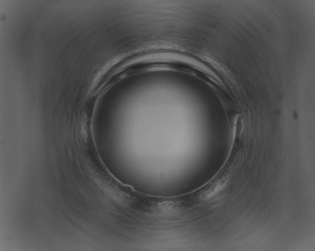 X0000071760064200606301141