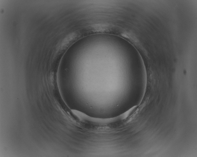 X0000071760066200606301141