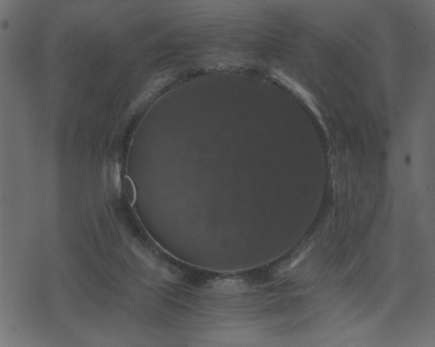 X0000071760067200606301141