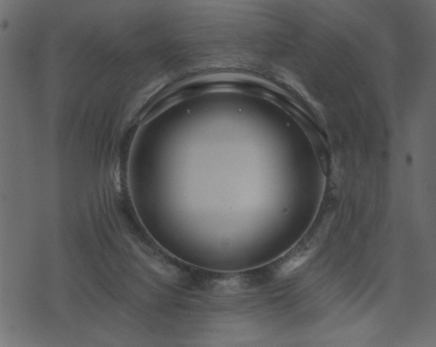 X0000071760068200606301141