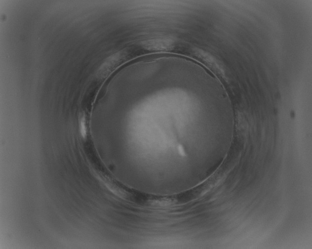 X0000071760069200606301141