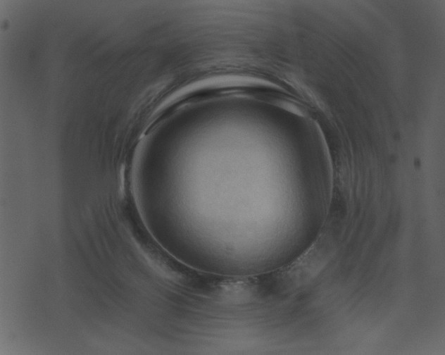 X0000071760070200606301141