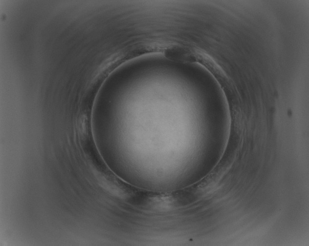 X0000071760071200606301141