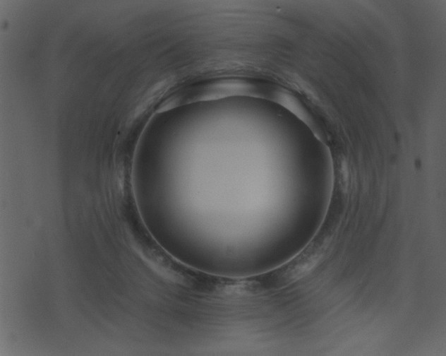 X0000071760072200606301141