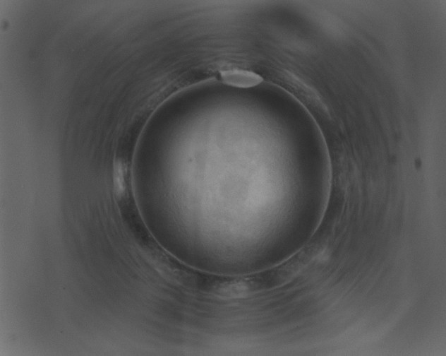 X0000071760075200606301141