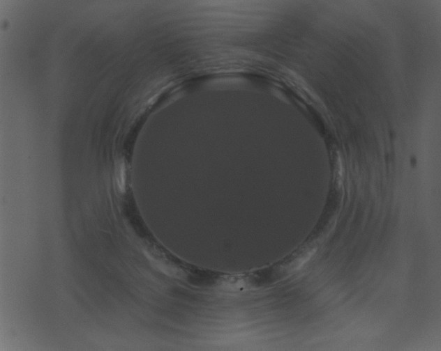 X0000071760076200606301141