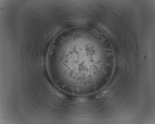 X0000071760077200606301141