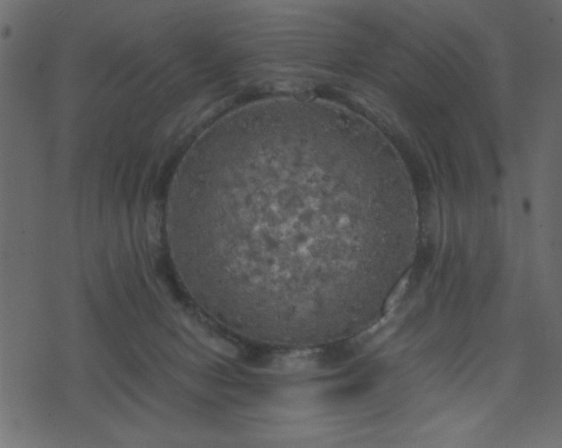 X0000071760078200606301141