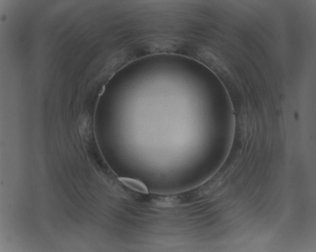 X0000071760079200606301141