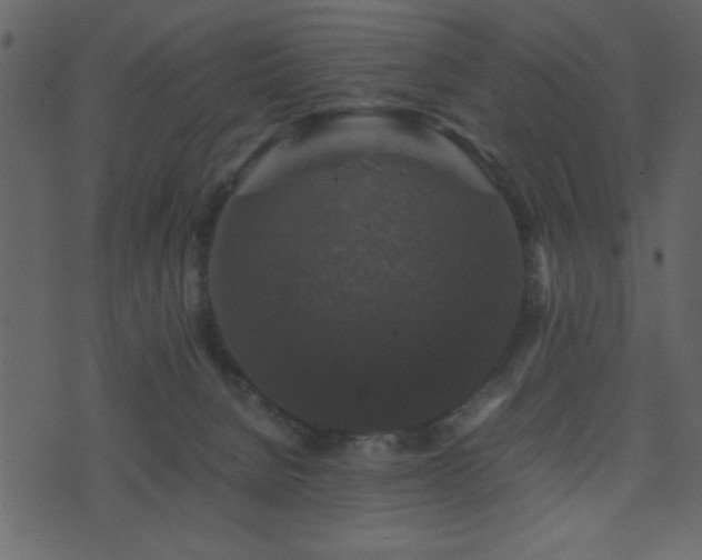 X0000071760080200606301141