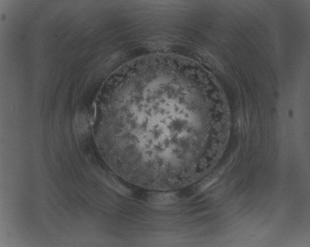 X0000071760081200606301141