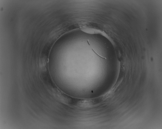 X0000071760082200606301141