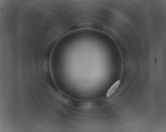 X0000071760083200606301141