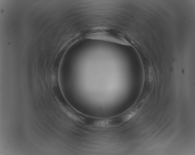 X0000071760084200606301141