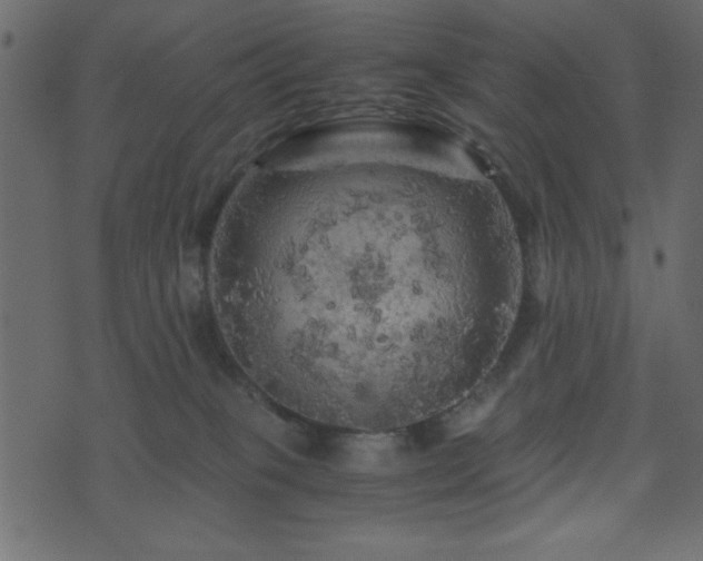 X0000071760085200606301141