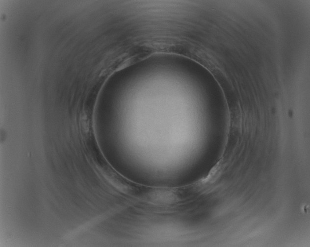 X0000071760086200606301141