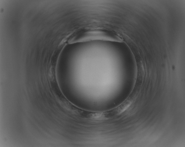 X0000071760088200606301141