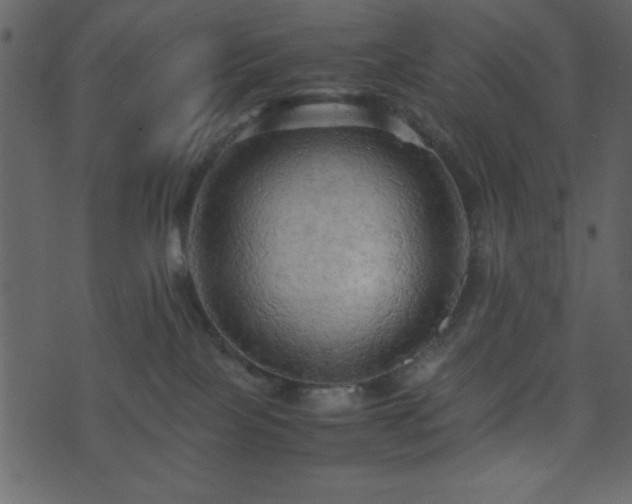 X0000071760089200606301141