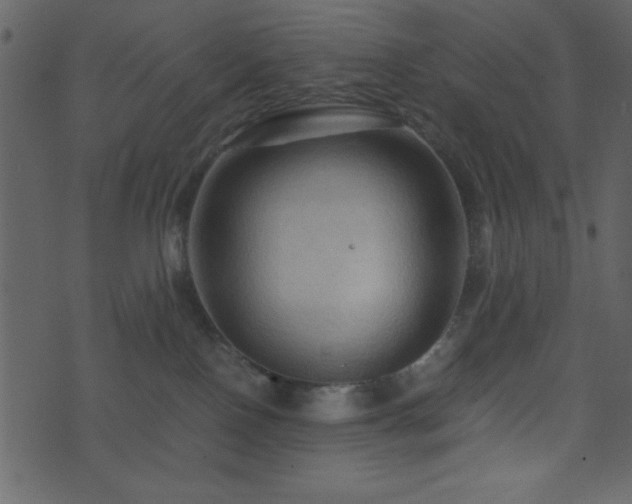 X0000071760090200606301141