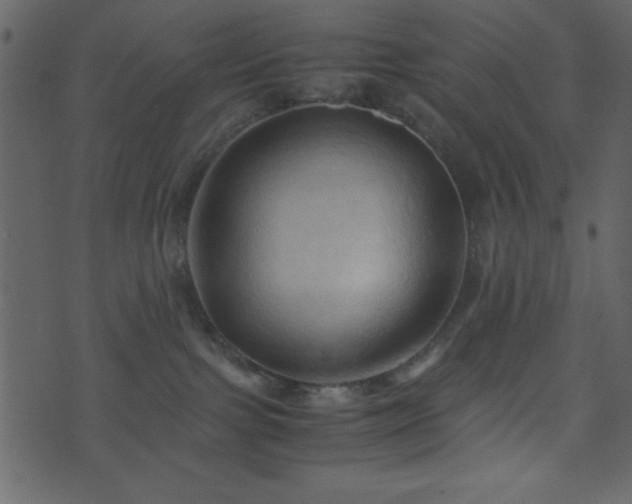 X0000071760091200606301141