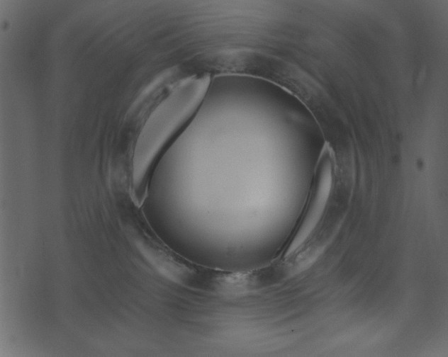 X0000071760092200606301141