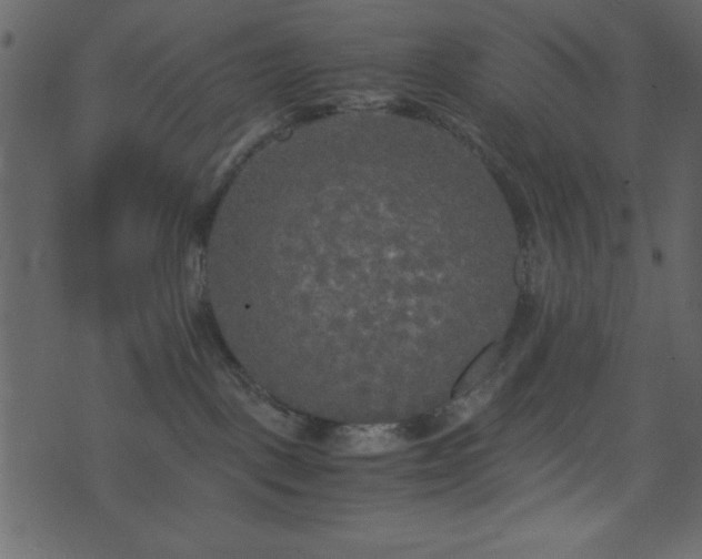 X0000071760093200606301141