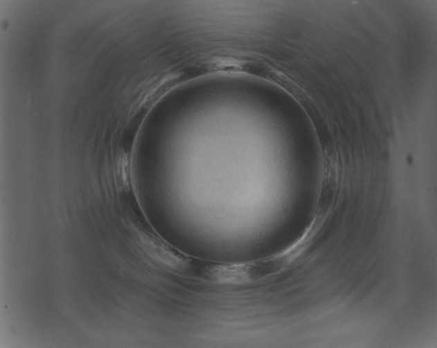 X0000071760094200606301141