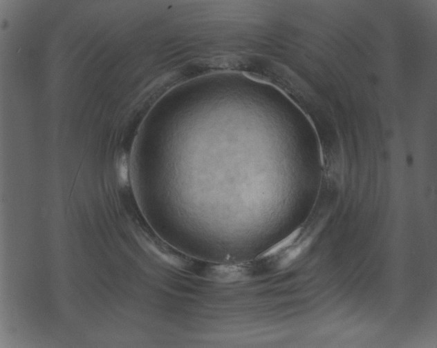 X0000071760095200606301141