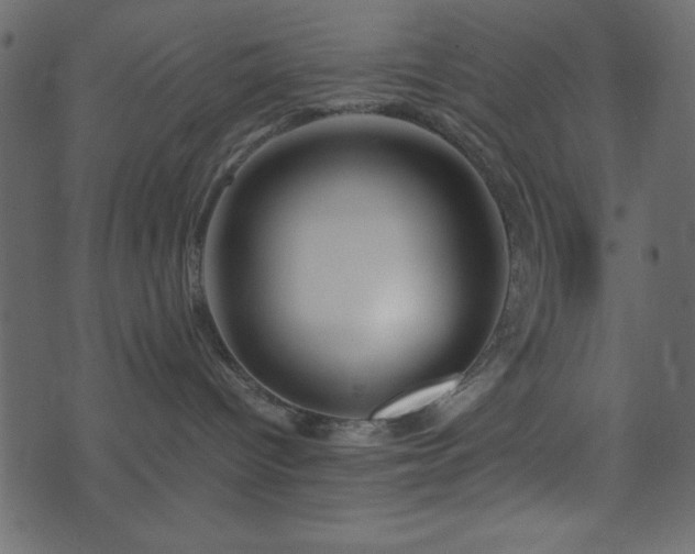 X0000071760096200606301141