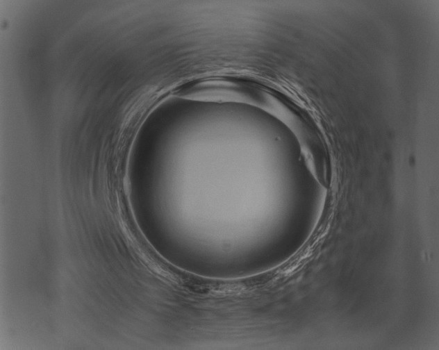 X0000071760097200606301140