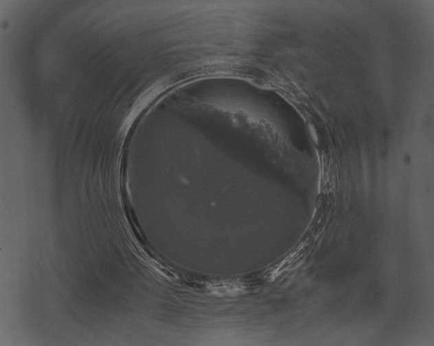 X0000071760099200606301140