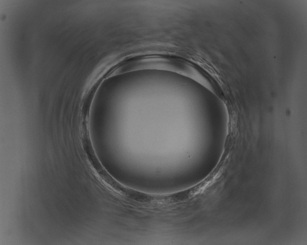 X0000071760101200606301140